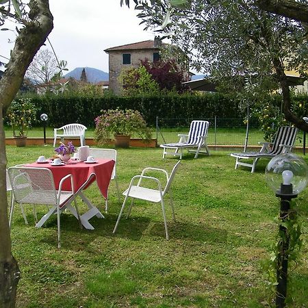 Triolivo B&B Lucca Exterior foto