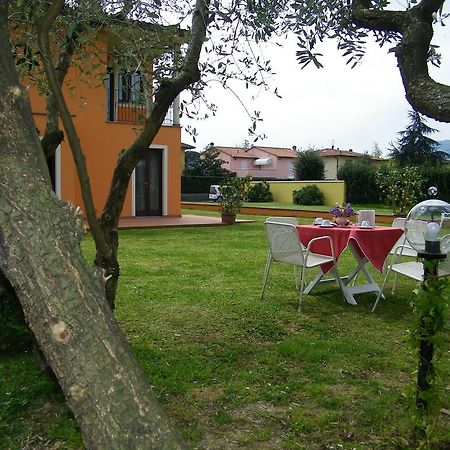 Triolivo B&B Lucca Exterior foto