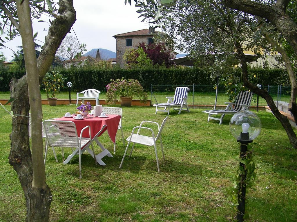 Triolivo B&B Lucca Exterior foto